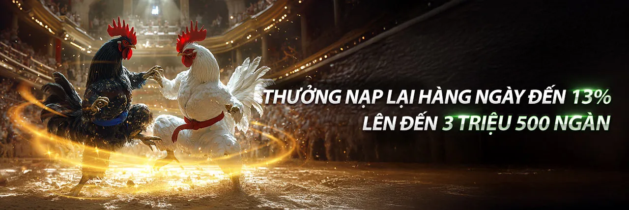 Đội ngũ hỗ trợ khách hàng chuyên nghiệp của hu88555